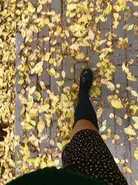 Fall Walk GIF by Alena Geyzer