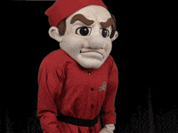 ohiowesleyanuniversity owu battlingbishops ohiowesleyan GIF