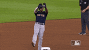 Lets Go Sport GIF by MLB