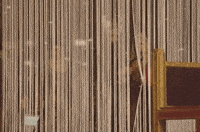 Show Turks GIF