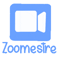 Zoom Sticker