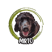Cocker Spaniel Sticker by Asilo per cani Dog'sMind