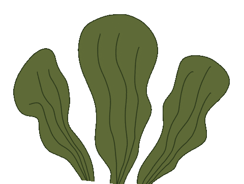 Plant Sticker