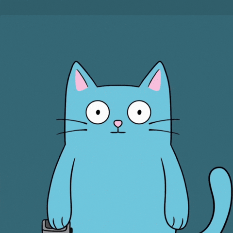 Cat Animation GIF