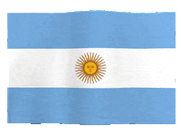 Super Bowl Flag Sticker by Meltdown Flags