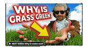 Pointing Out The Obvious Green Grass Sticker