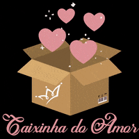 caryocaboutique unboxing caixa caixinha caryocaboutique GIF