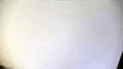 GIF by Alex Boya