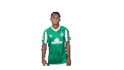 Bundesliga Felix Sticker by SV Werder Bremen