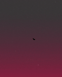 Football Sport GIF by Arizona Cardinals