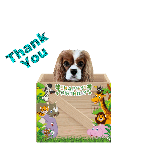 Happy Birthday Thanks Sticker by Pimp Yo Pets
