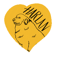 heart love Sticker by University of Missouri