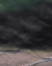 Flying From Above GIF by Chris