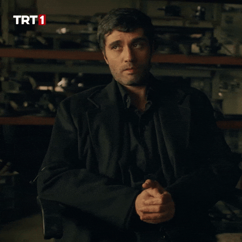 I Understand All Right GIF by TRT