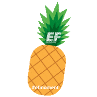 education first summer Sticker by efmoment
