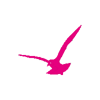 GlaveGruppe möwe werbeteam norics Sticker