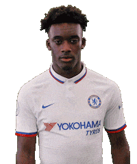 Premier League Thumbs Up Sticker by Chelsea FC