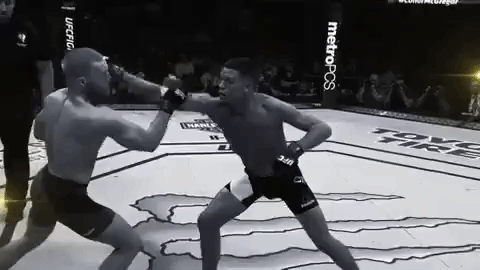 ufc 205 GIF