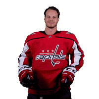 Washington Dc Fight Sticker by Capitals