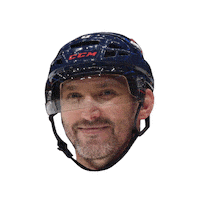 National Hockey League Smile Sticker by NHL