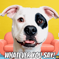No Problem Love GIF