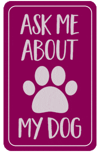 Love Dogs Dog GIF by puppytales