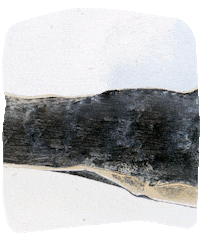 Look At Black Cat GIF