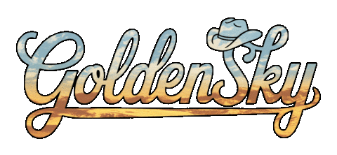 Music Festival Country Sticker by DWP