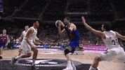 fc barcelona basketball GIF by ACB