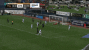 Happy South Carolina GIF by Charleston Battery