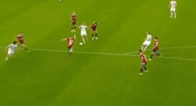 milanhuppert giphyupload GIF
