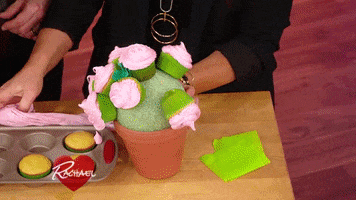 Fail Valentines Day GIF by Rachael Ray Show