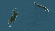 beauty landscape GIF by BBC Earth