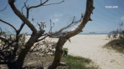 viceland GIF by RISE