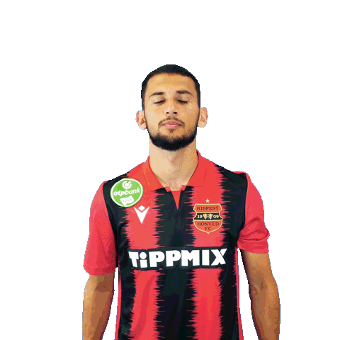 Goal Swipe Up Sticker by Budapest Honvéd FC