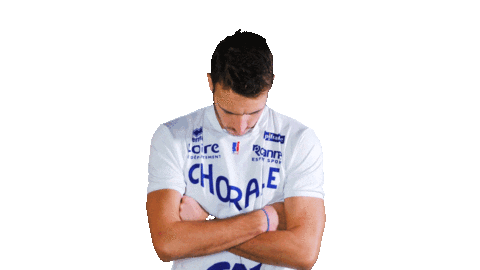 Basketball Basket Sticker by lnb_officiel
