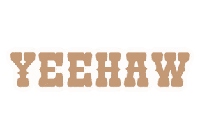 Country Music Sticker