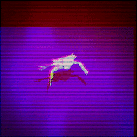 Swimming Crab GIF by MOODMAN