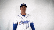 Baseball GIF by Omaha Storm Chasers
