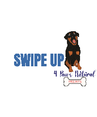 Dog Sticker by 4 Paws Natural Treats