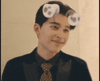 Dog Ears Ar Effect GIF