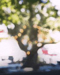 bellagavetequila happy drink cheers weekend GIF