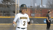 north dakota state bison GIF by NDSU Athletics