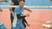 Happy Joy GIF by Volleyball World