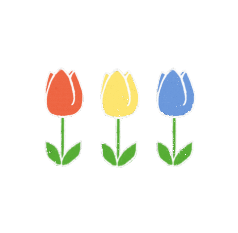 cielgc giphyupload flower taiwan 花 Sticker