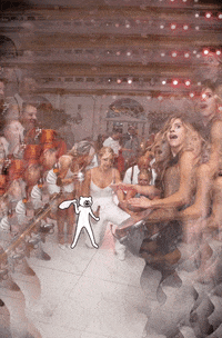 Wedding Drummer GIF by Crystalpercussion