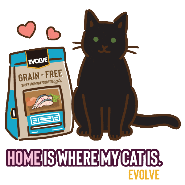 Evolve Black Cat Sticker by Sunshine Mills