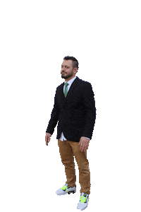 verdegto partidoverde pvgto verdeguanajuato verdeecologista Sticker