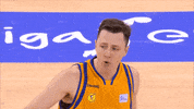 liga endesa basketball GIF by ACB