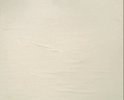 Fail William Wegman GIF by Jason Clarke